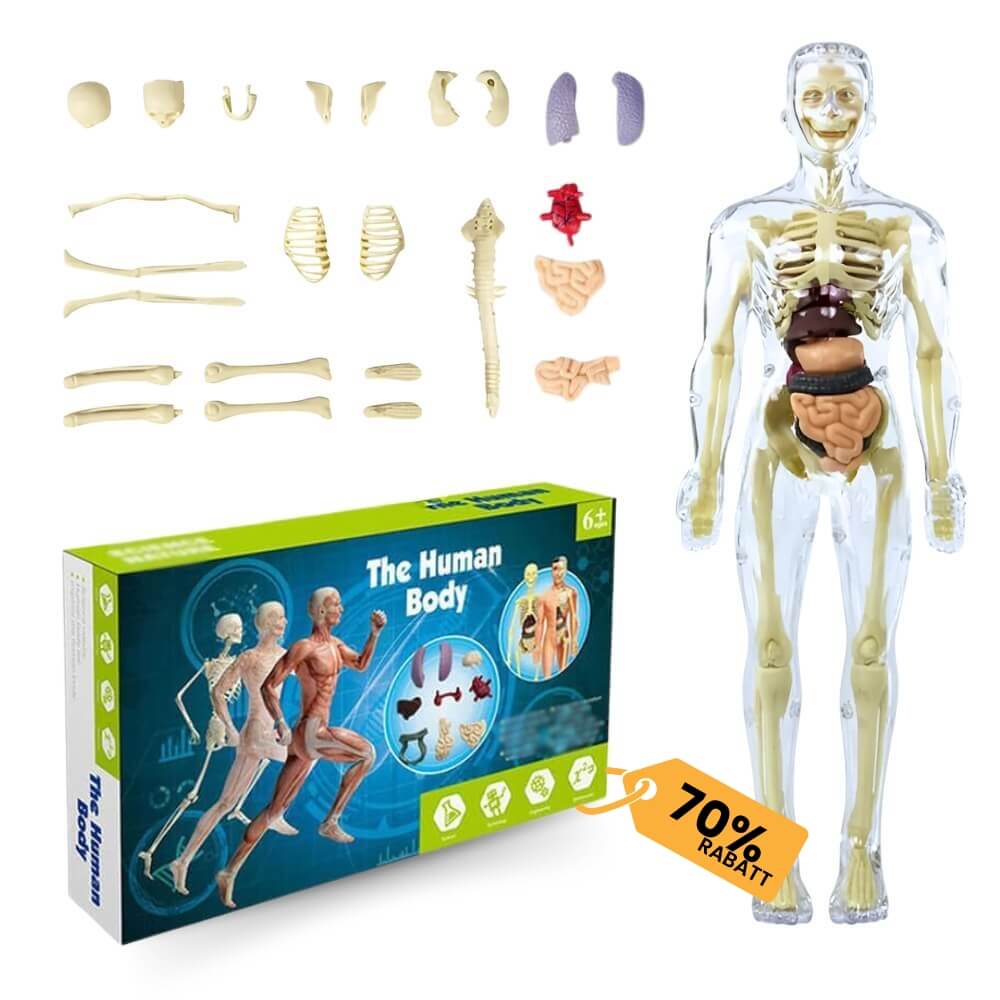 BodyWissenschaft™ - 3D menschlicher Körper (70% RABATT)