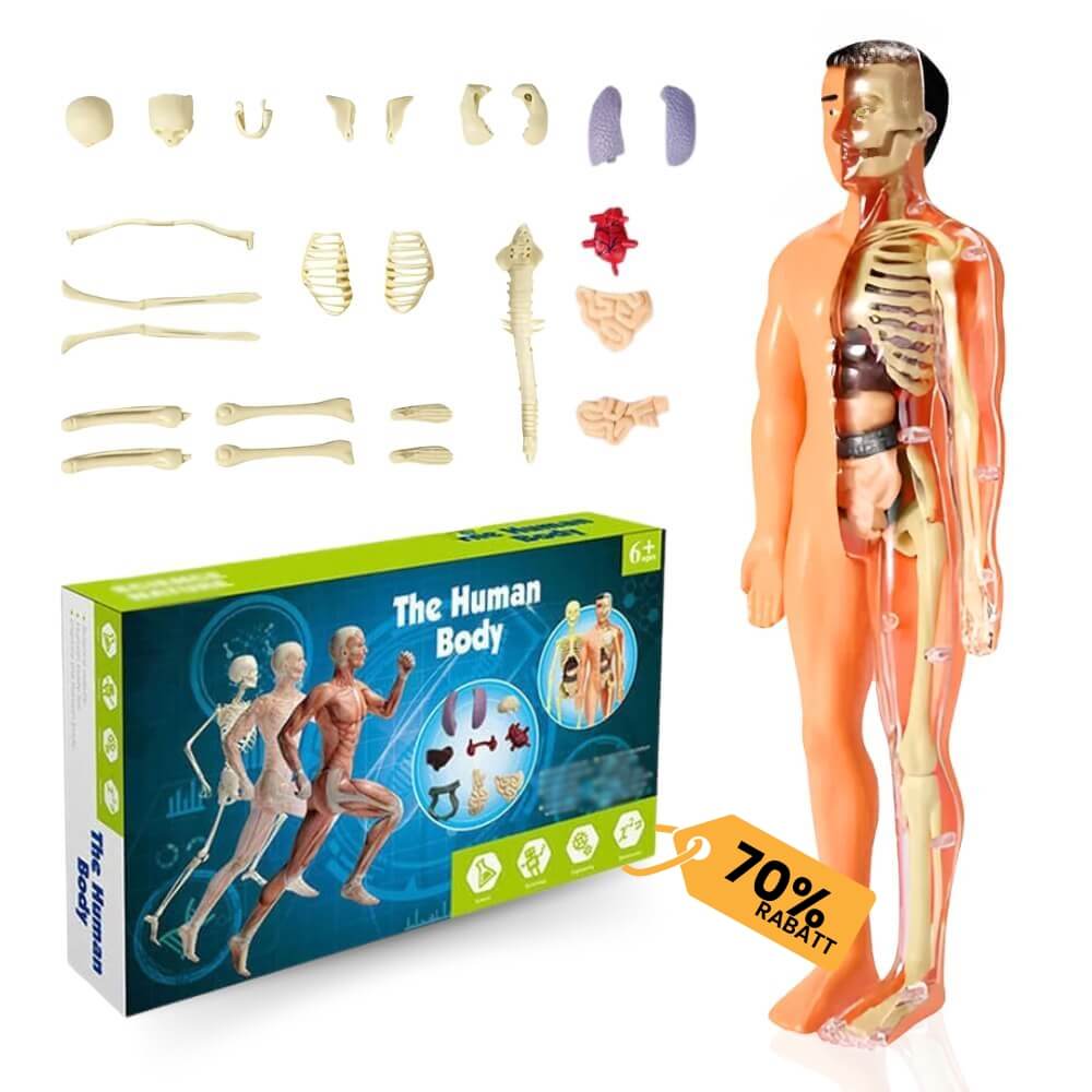 BodyWissenschaft™ - 3D menschlicher Körper (70% RABATT)